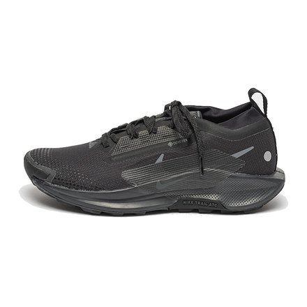 Nike Pegasus Trail 5 GTX